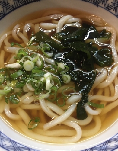 「かけうどん」@手打ちうどんの店 たかはたの写真