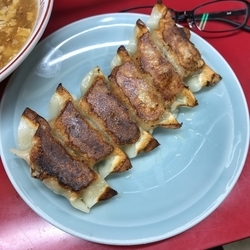 焼ギョーザ（鍋貼）