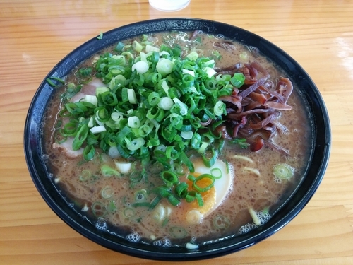 「魚粉豚骨らーめん800円+ねぎ100円」@豚骨ラーメン 新井商店の写真