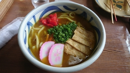 「カレーうどん　900円」@手打うどん 源内の写真