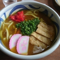 カレーうどん　900円