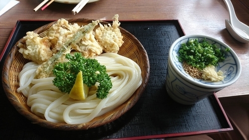 「かしわざるうどん　850円」@手打うどん 源内の写真