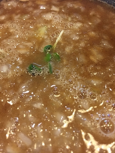 「濃厚鶏白湯つけ麺」@麺屋時茂の写真