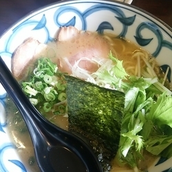 鶏白湯ラーメン