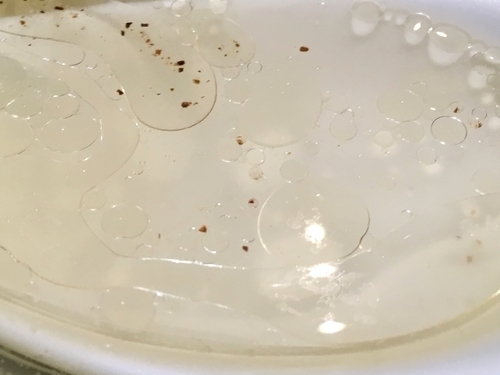 「塩そば」@麺屋 坂本01の写真