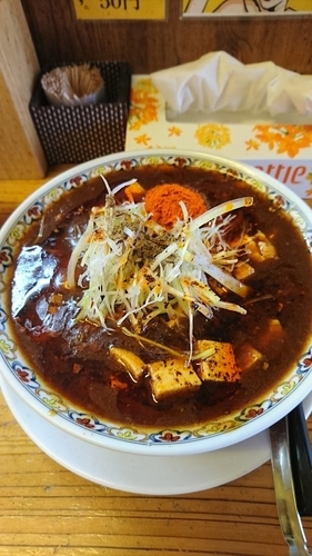 「辛っとろ麻婆麺 大辛」@辛っとろ麻婆麺 あかずきんの写真