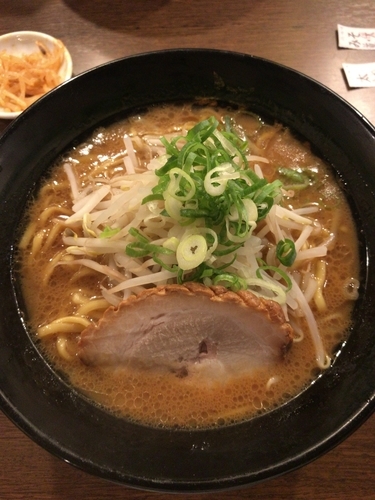 「豚骨醤油太麺」@新和歌山らーめん 極ジョーの写真