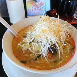 味噌野菜ラーメン（千切りネギトッピング）