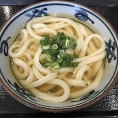 宮武讃岐うどん ららぽーと豊洲店の画像