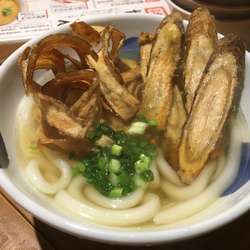 ゴボ天うどん（麺ハーフ）／￥500