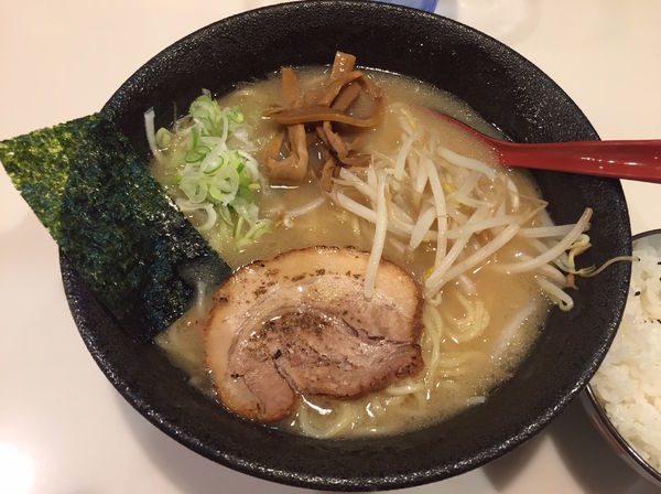 「塩とんこつらーめん（大盛）」@麺や 桜木の写真