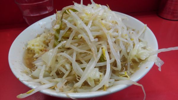 「ラーメン 600円(麺半分、ヤサイニンニクカラメ)」@ラーメン二郎 三田本店の写真