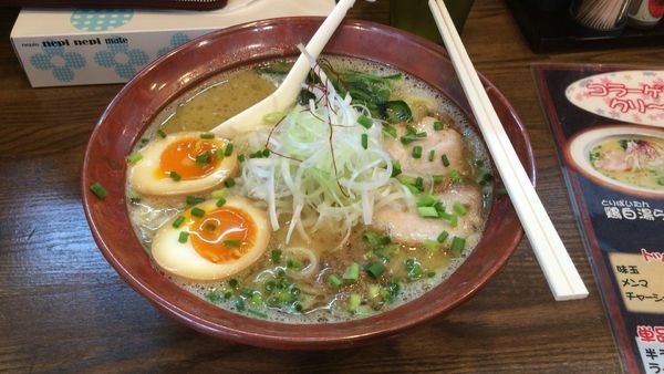 「鶏白湯ラーメン醤油 味玉」@大葉の写真