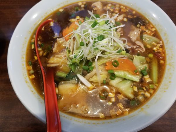 「四川のスパイス　ラー湯麺」@華陽麺坊の写真