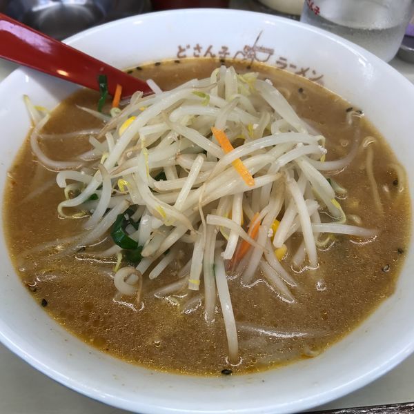 「味噌ラーメン ￥700」@札幌ラーメン どさん子 塩沢17号店の写真