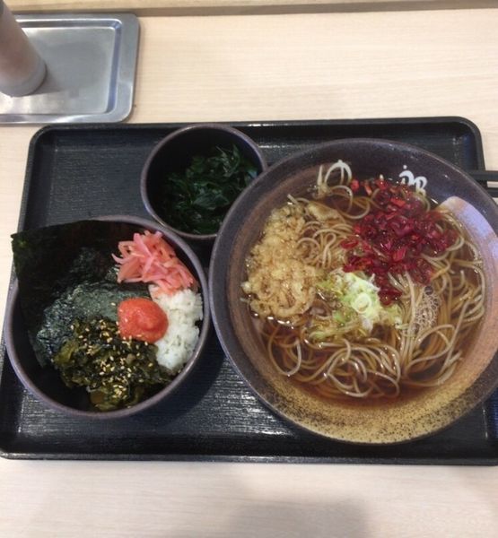 「かけそば 高菜明太ご飯セット＋揚げ玉＋ワカメ」@ゆで太郎 加須上種足店の写真