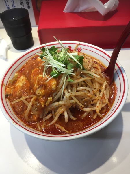 「北極火山」@蒙古タンメン中本 草加店の写真