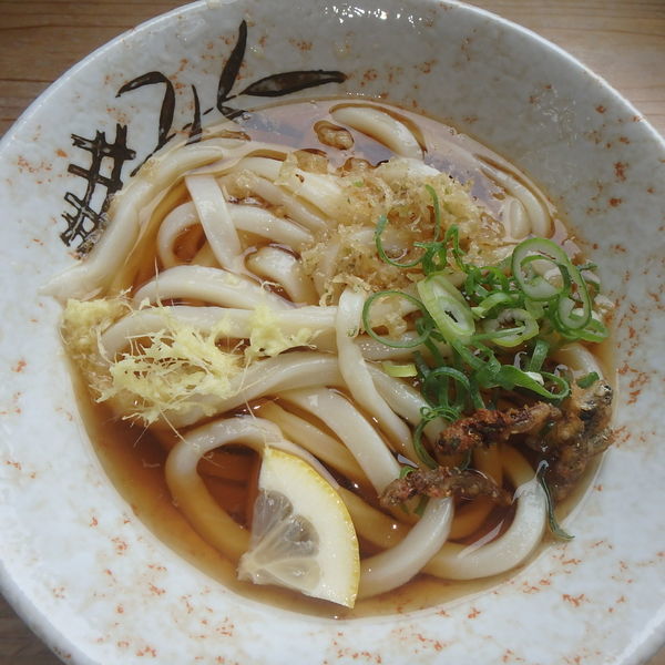 「冷やしぶっかけ(小)(250円)」@うどん上戸の写真