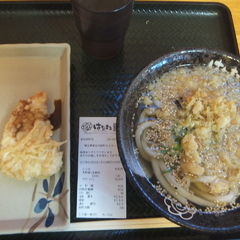 はなまるうどん 草加西町店の画像