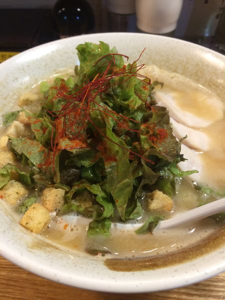 「ボルチーニ鶏白湯」@麺匠ようすけ 鶏煮亭の写真