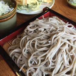 もりそば、野菜天