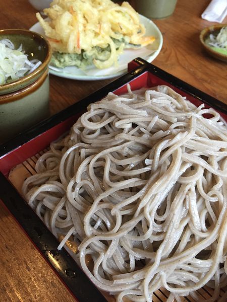 「もりそば、野菜天」@須花坂公園 憩い館の写真