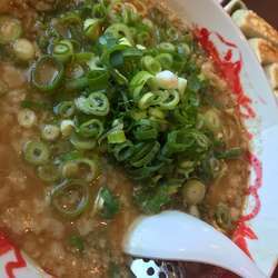 みやこいち 九条ねぎ