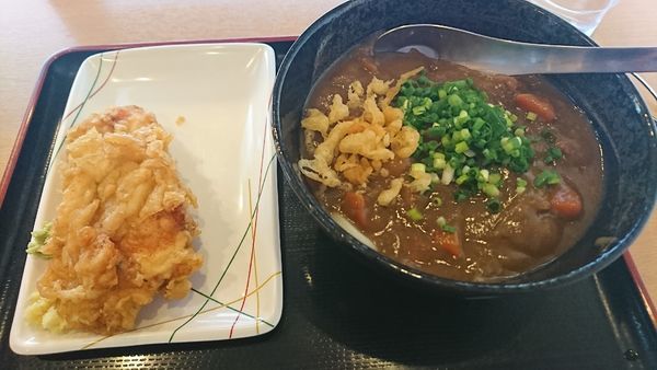 「カレーうどん」@讃岐うどん 條辺の写真