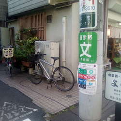 味噌らぁめん 730円◯