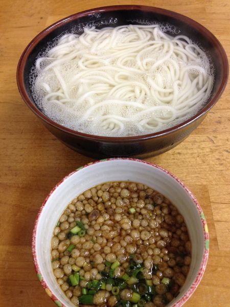 「釜揚げうどん」@織田薪 本店の写真