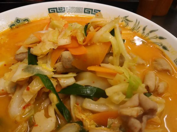 「もつ野菜ラーメン　大盛」@日高屋 駒込東口店の写真