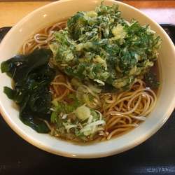 春菊天そば／￥430