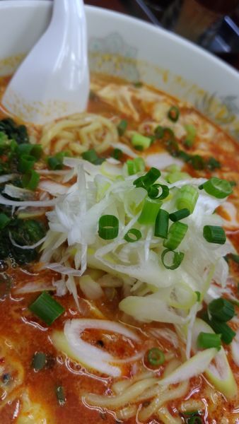 「ドラたんたんめん750円辛さ上級」@らーめん ドラごんちの写真