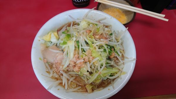 「小豚　麺半分野菜脂」@ラーメン二郎 環七一之江店の写真