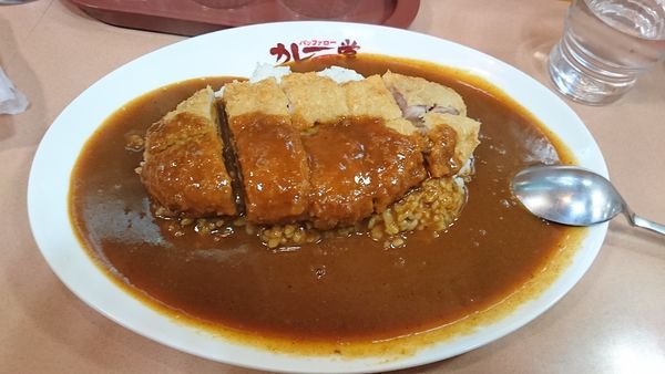 「ロースカツカレー」@カレー堂 難波店の写真