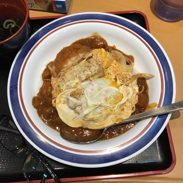 「カレーかつ丼」@名代富士そば 池袋西口店の写真