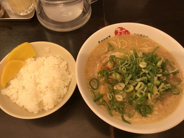 「ラーメン 麺30秒硬め＋脂多め＋セルフ辛いの多め ライス普通」@京都銀閣寺 ますたにラーメン 日本橋本店の写真