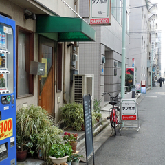 タンポポの画像