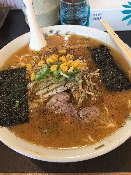 「ネギ味噌ラーメン中盛り」@がんこや かるがんラーメン 千代田本店の写真
