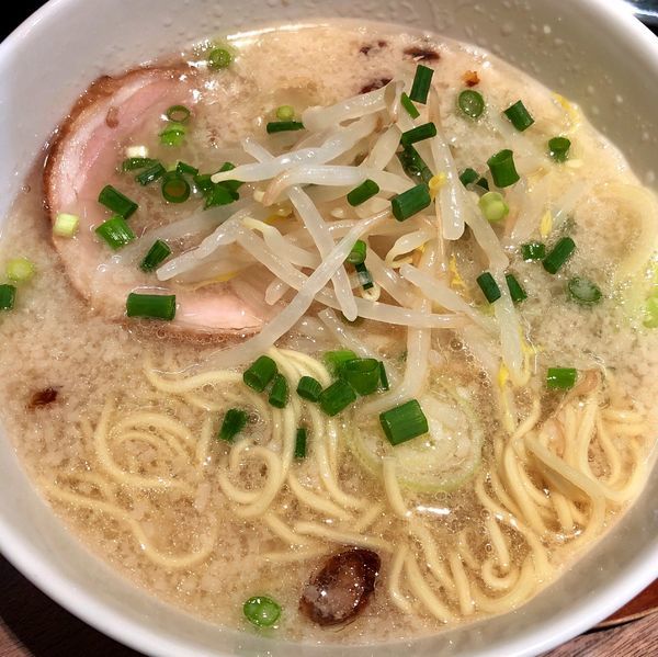 「塩らー麺（背脂スープ）」@麺 たいせいの写真
