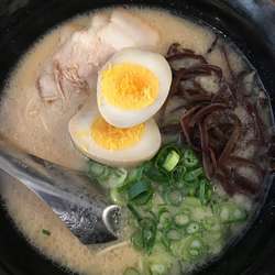 煮玉子ラーメン