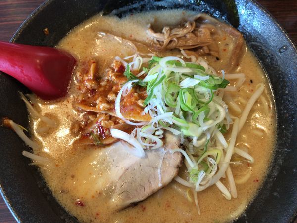 「辛肉味噌ラーメン800円」@完熟らーめん 本丸の写真