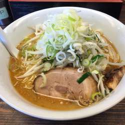 野菜味噌ラーメン大盛り麺硬めトッピングネギ