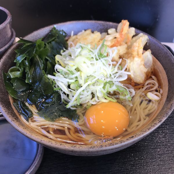 「朝そば（玉子）（￥330）＋わかめ（クーポン）」@ゆで太郎 西橋本店の写真