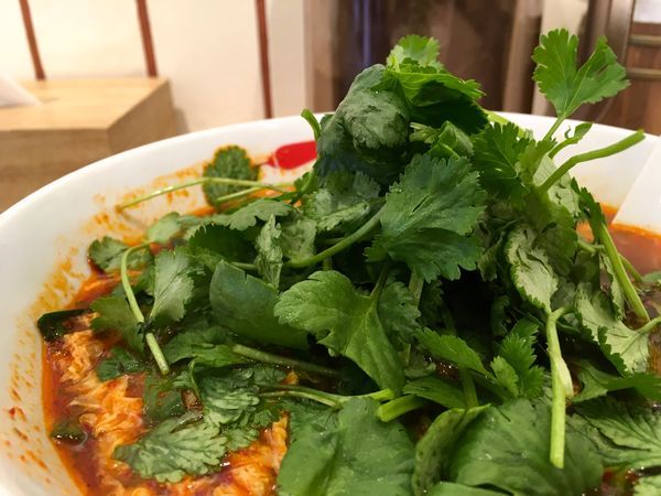 「パクチー辛麺＋サービスライス」@辛麺屋 一輪の写真