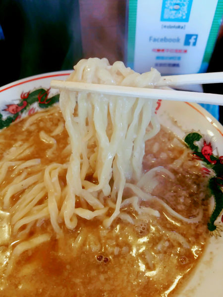 「煮干らぁ麺(かけ)」@吟醸煮干 灯花紅猿の写真