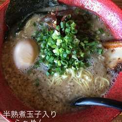 半熟煮玉子入りらぁめん