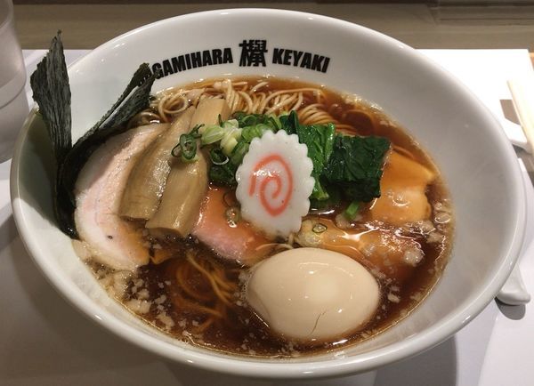 「特煮干し中華そば(限定)900円」@Sagamihara 欅の写真