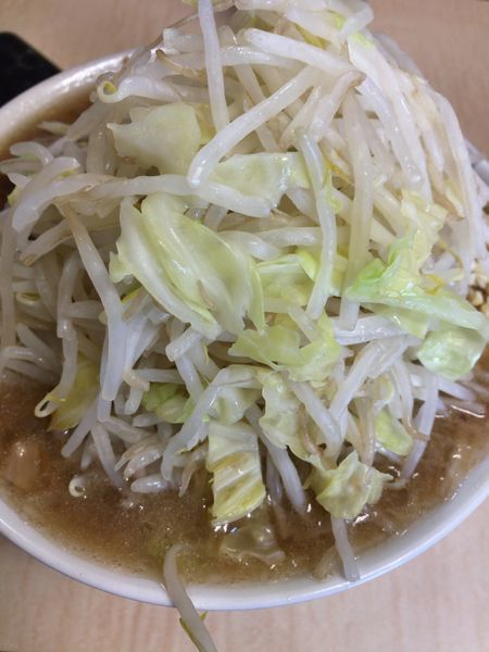 「97小豚¥800 ニンニクカラメアブラ」@ラーメン二郎 京成大久保店の写真