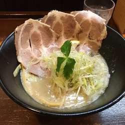 鶏白湯並 塩味750